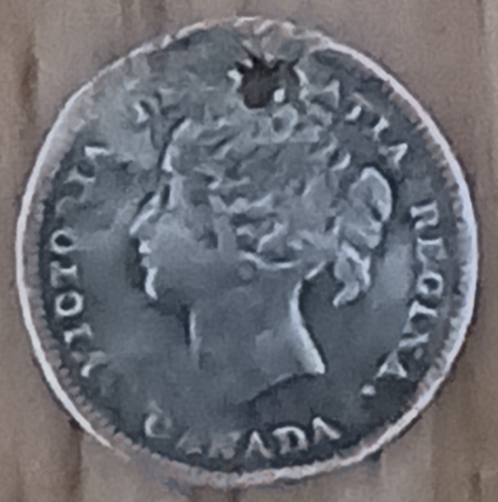 20221223_113501.jpg