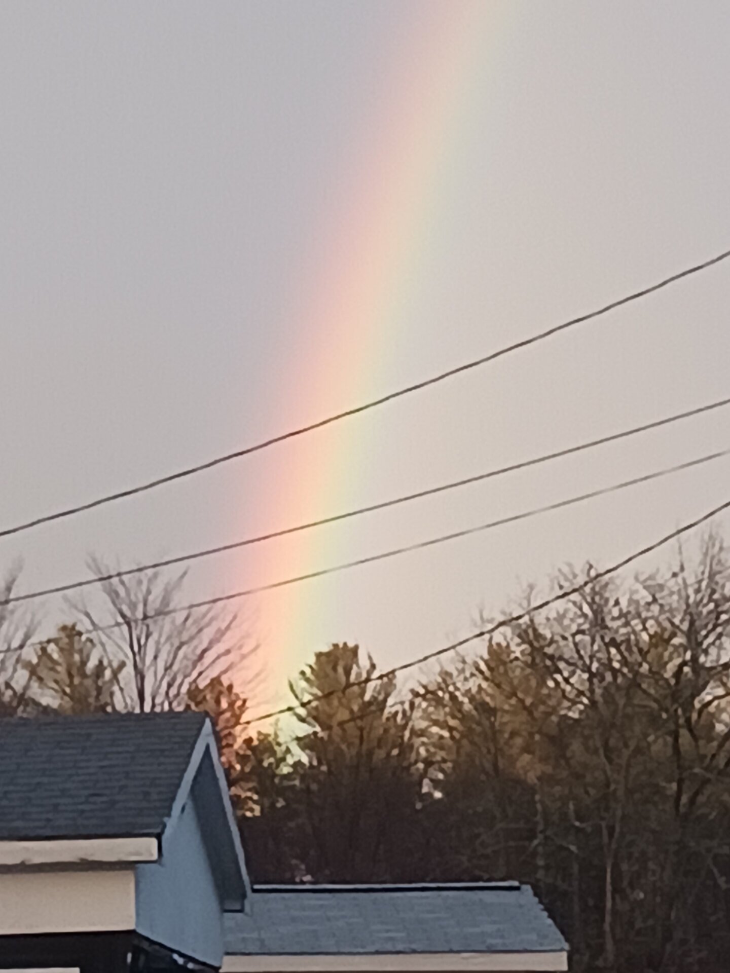20221223_154609.jpg