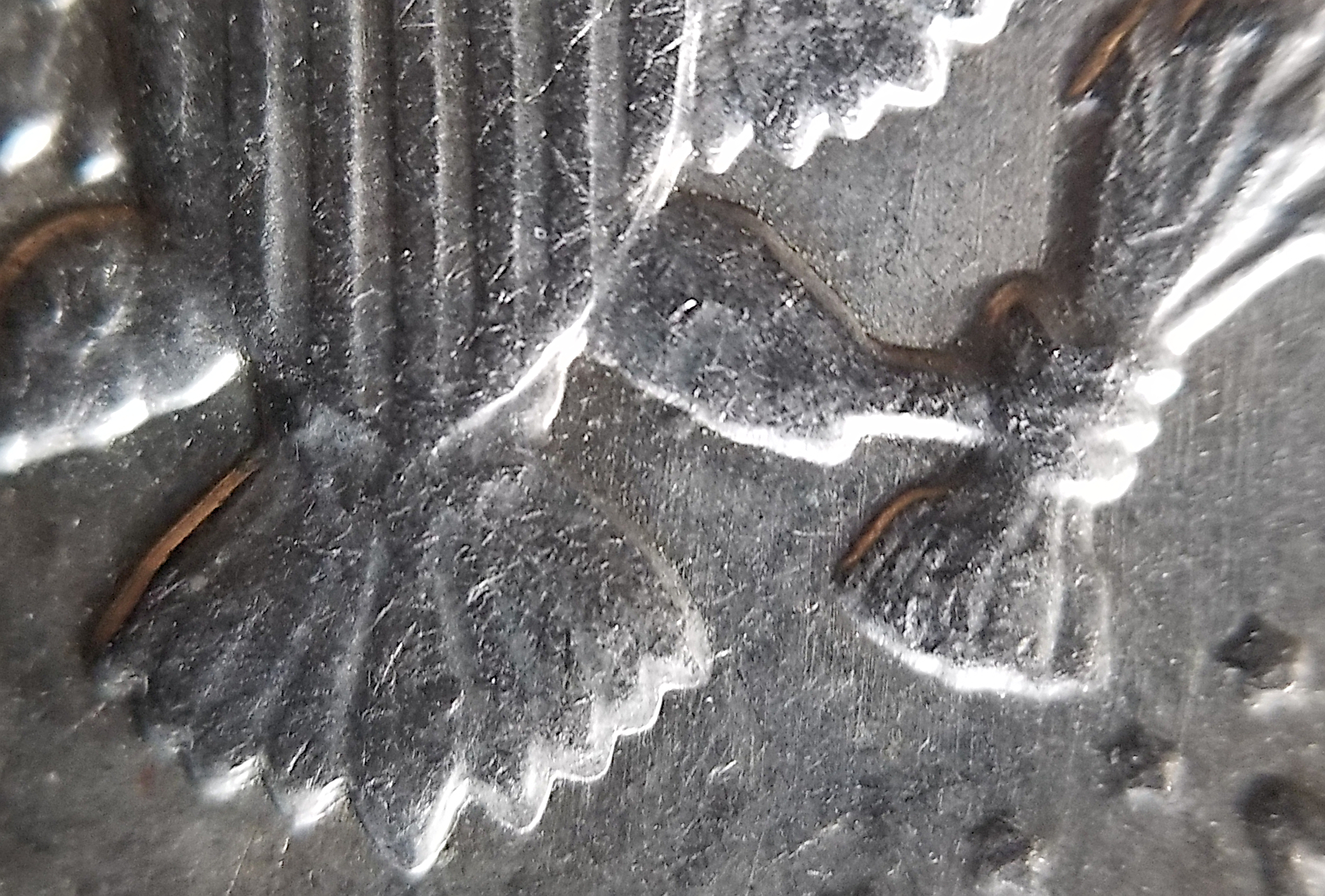 20221224_092802.jpg