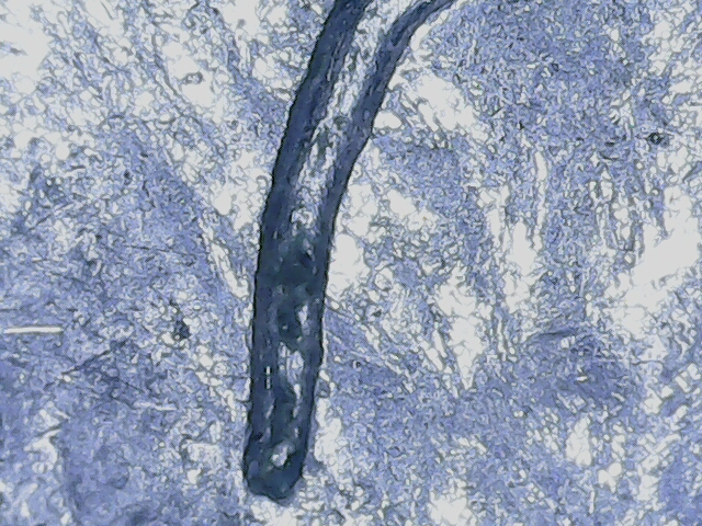 20221228_11_21_59.png