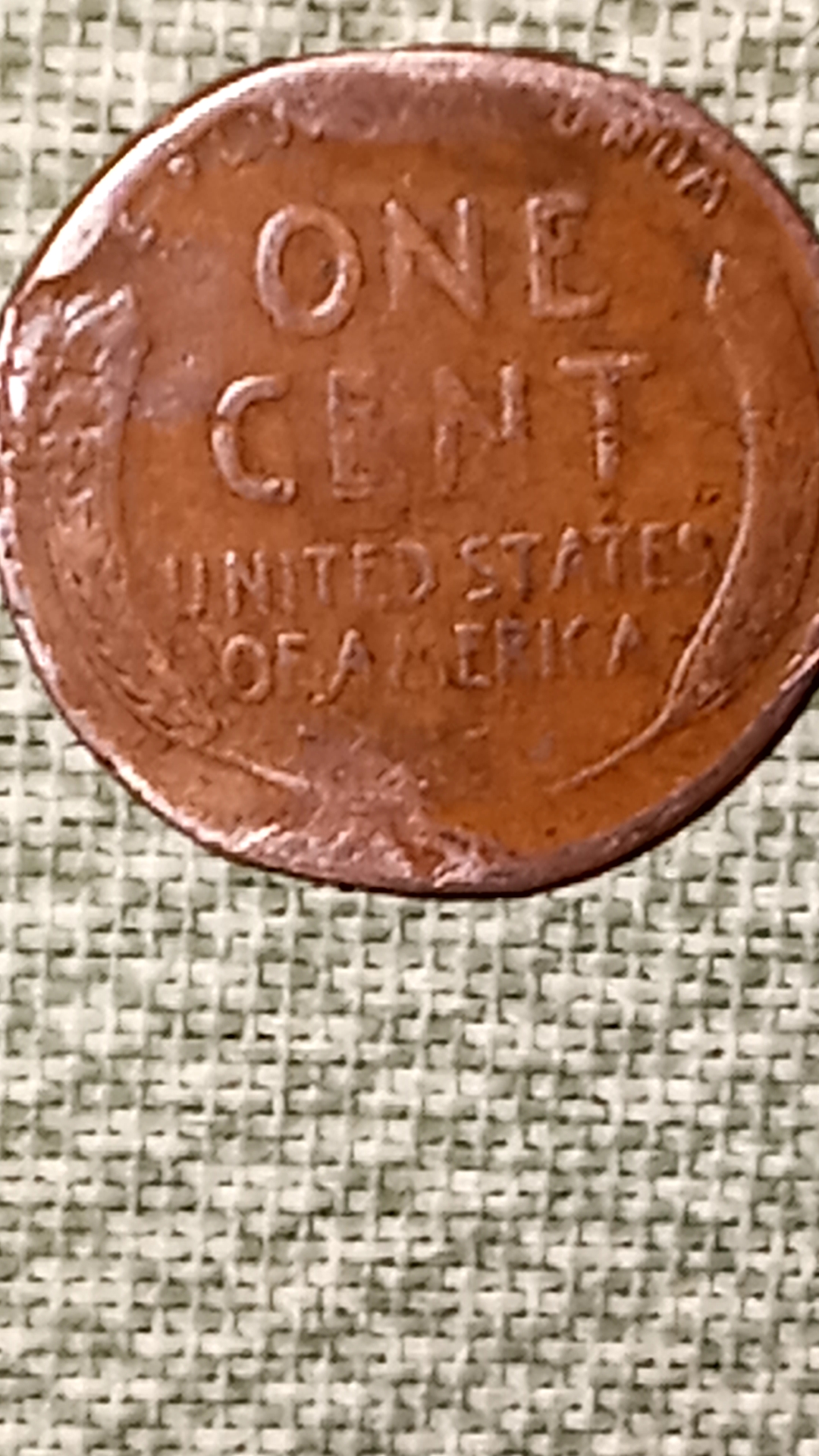 20221228_201647431.jpg