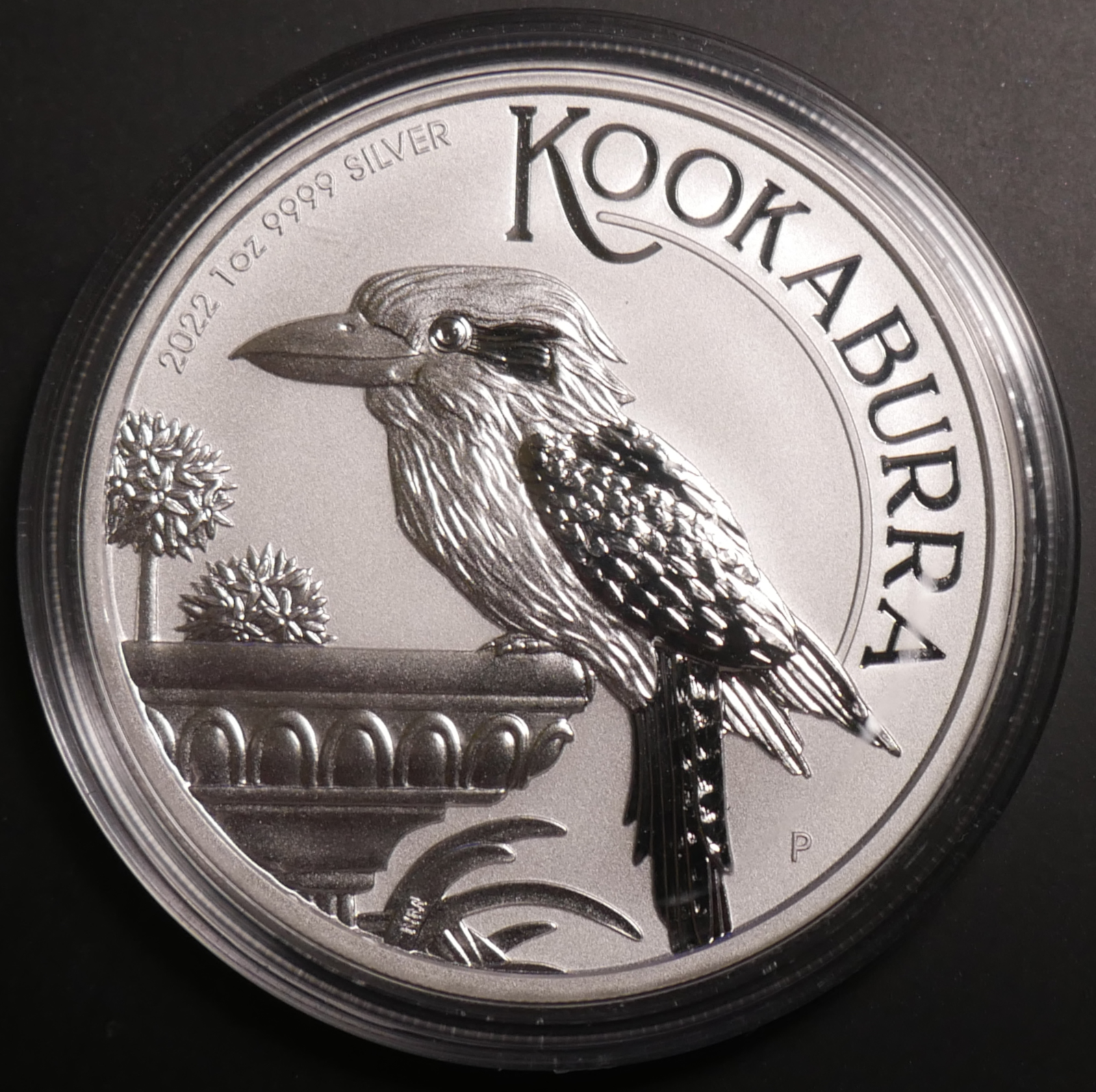 2022_Kookaburra.png