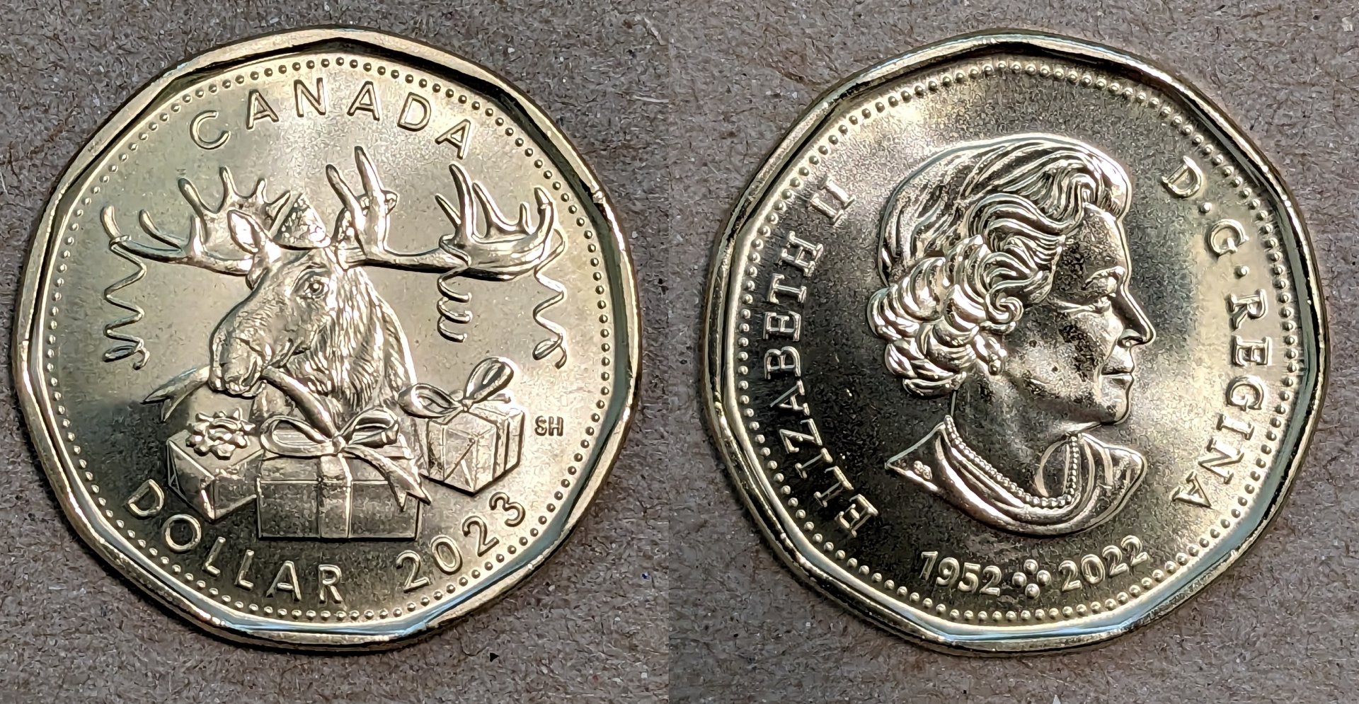 2023 canada 1 dollar birthday moose.jpg
