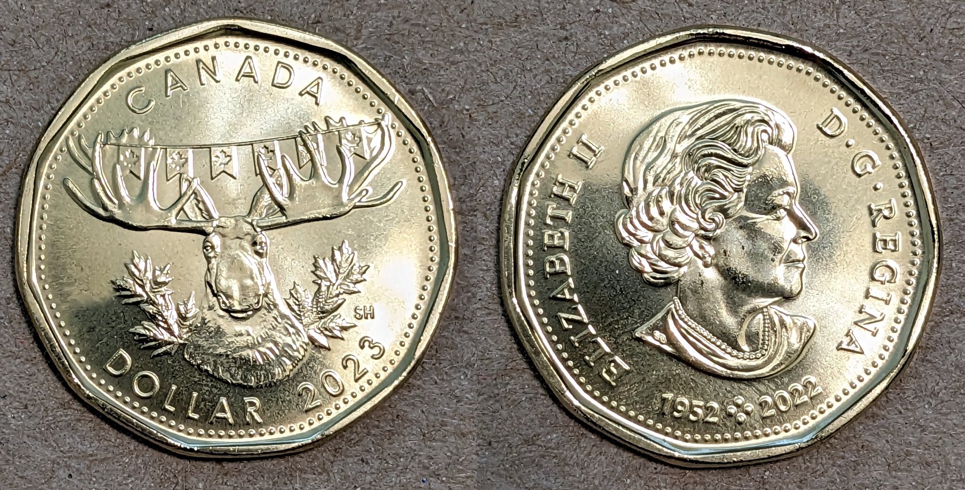 2023 canada 1 dollar moose oh canada.jpg