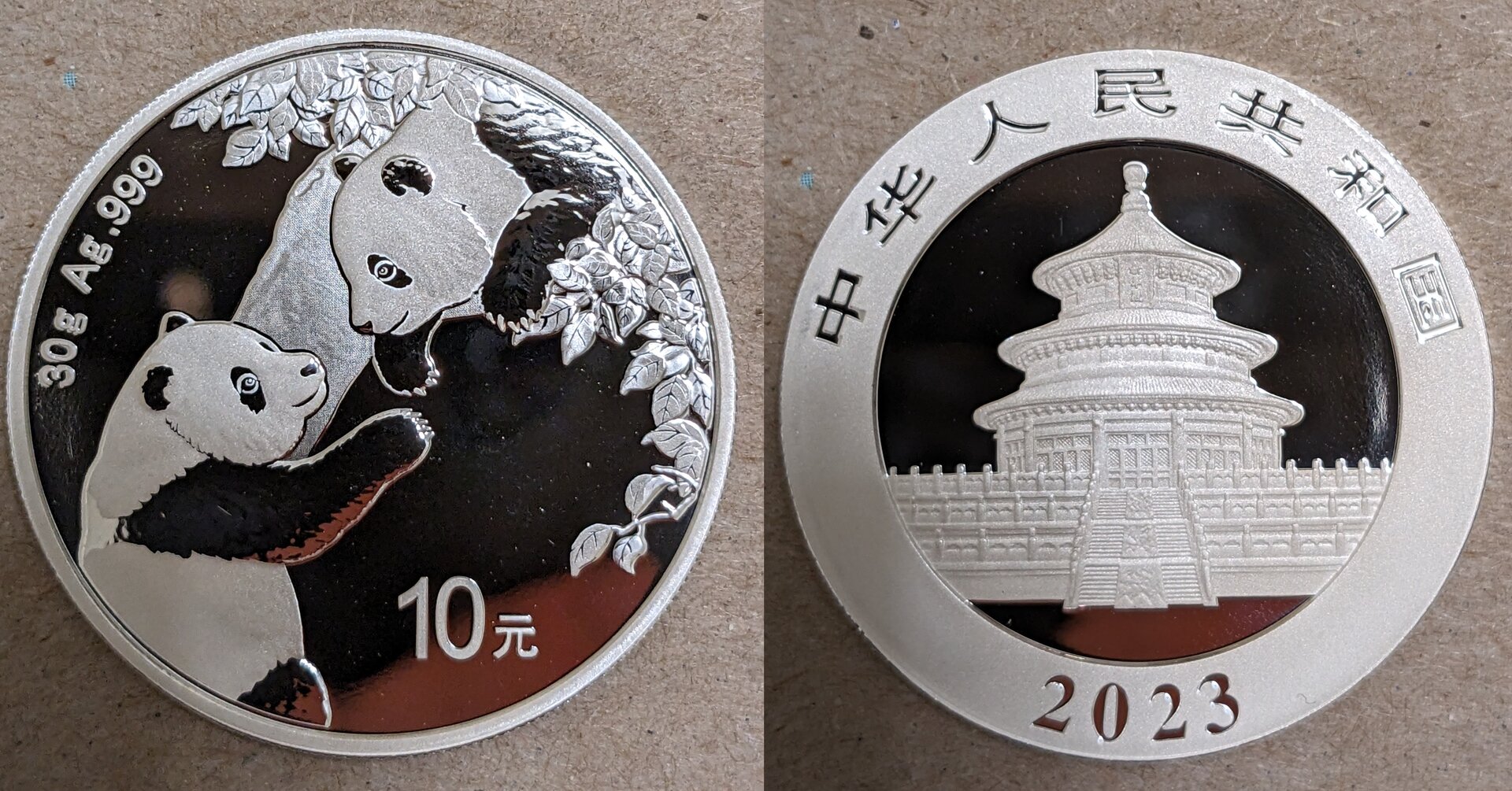 2023 china 10 yuan panda.jpg