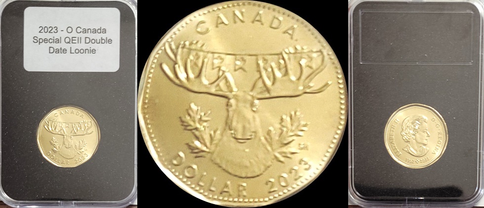 2023 Moose Loonie 1-horz.jpg
