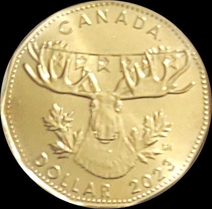 2023 Moose Loonie 1a.jpg