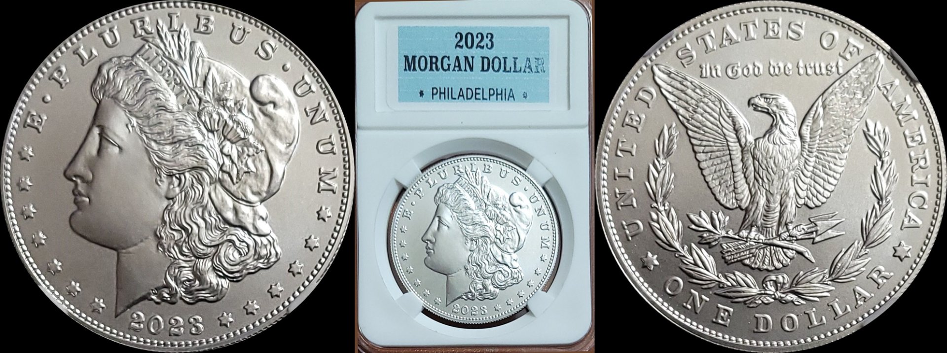 2023 Morgan Dollar Z-horz.jpg