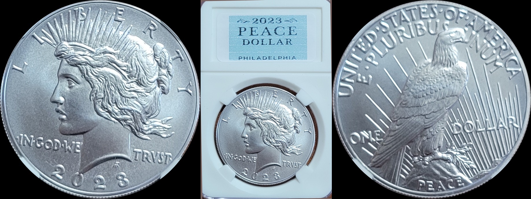 2023 Peace Dollar A1-horz.jpg