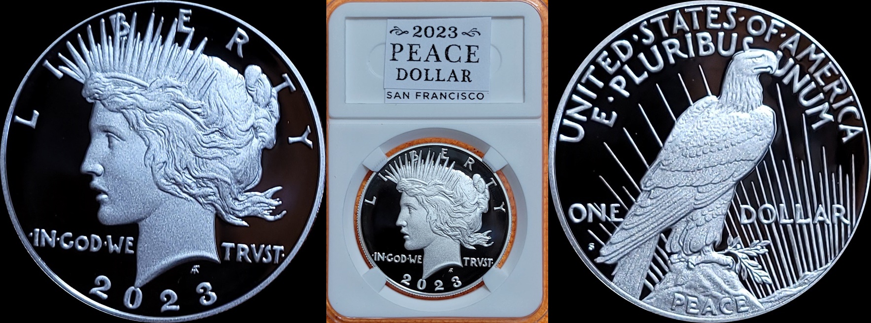2023 S Proof Peace $ 1-horz.jpg