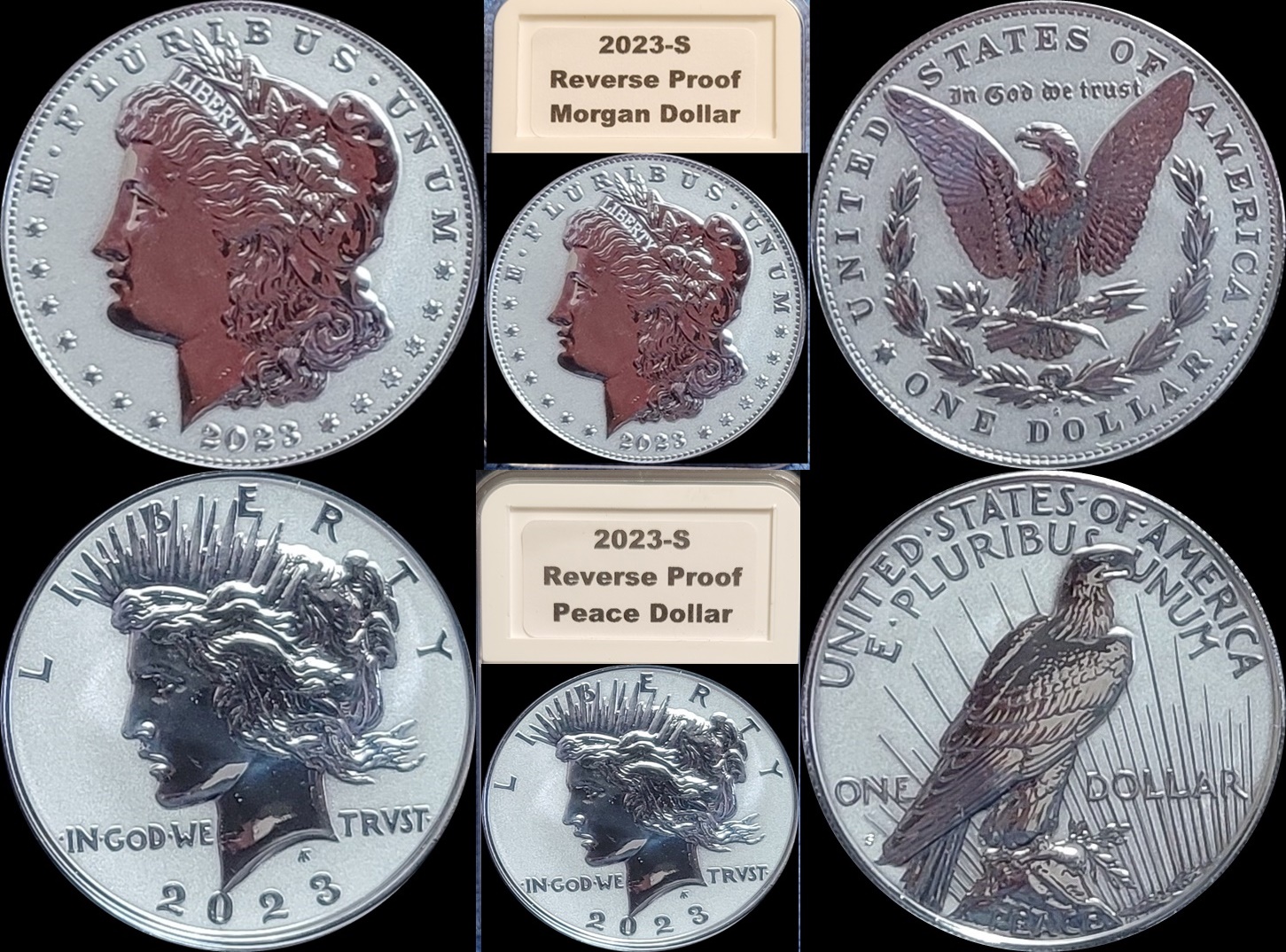2023-S Rev PR Morgan A-horz-vert.jpg