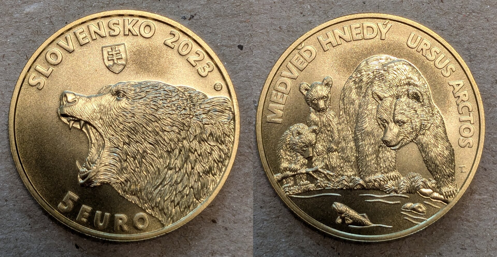 2023 slovakia 5 euro bear.jpg