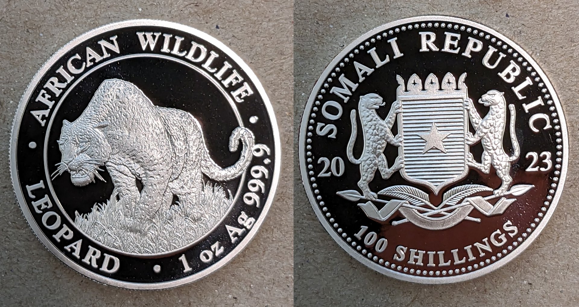 2023 somalia 100 shillings leopard.jpg