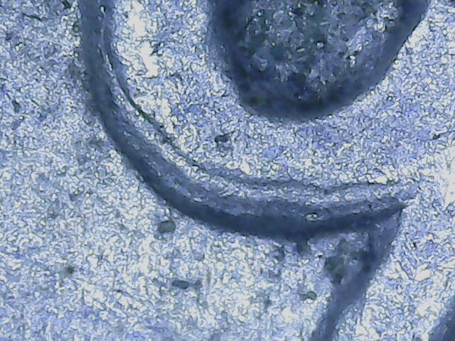 20230123_18_58_50.png