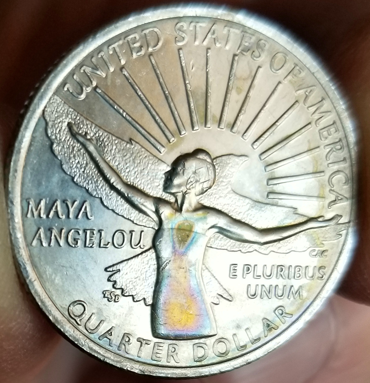 20230218_152530.jpg
