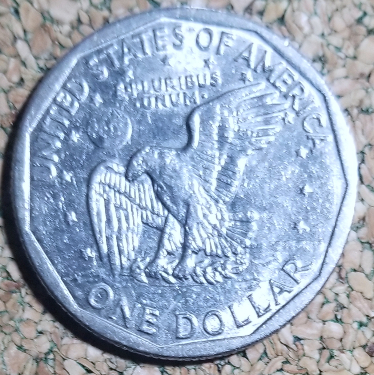 20230225_105225.jpg