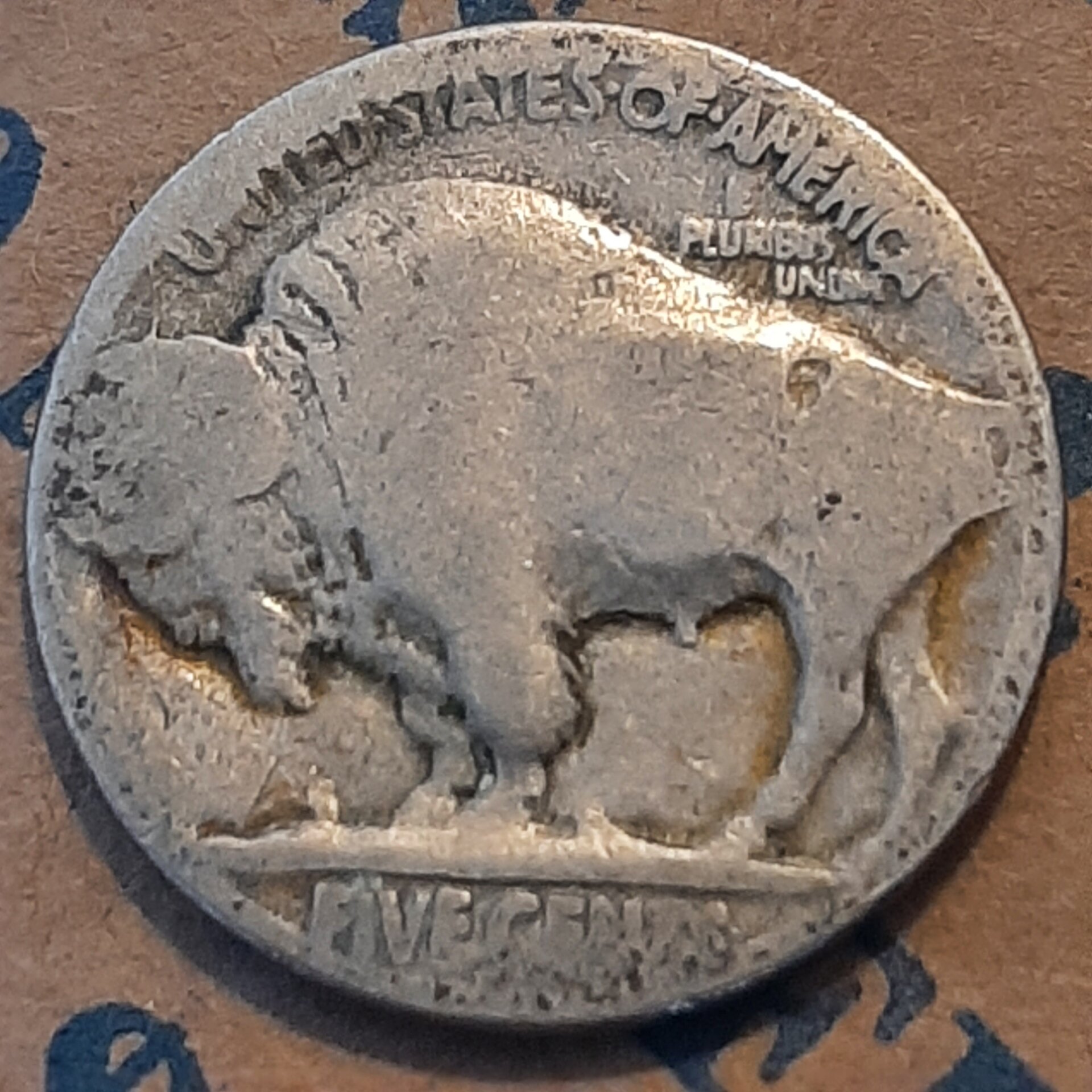 20230303_125800.jpg