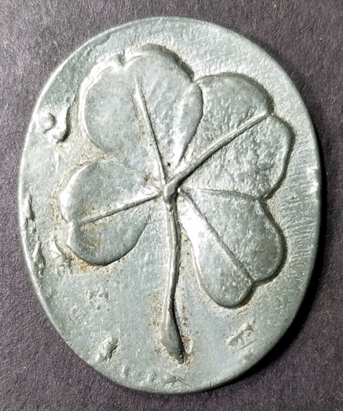 20230303_195324.jpg