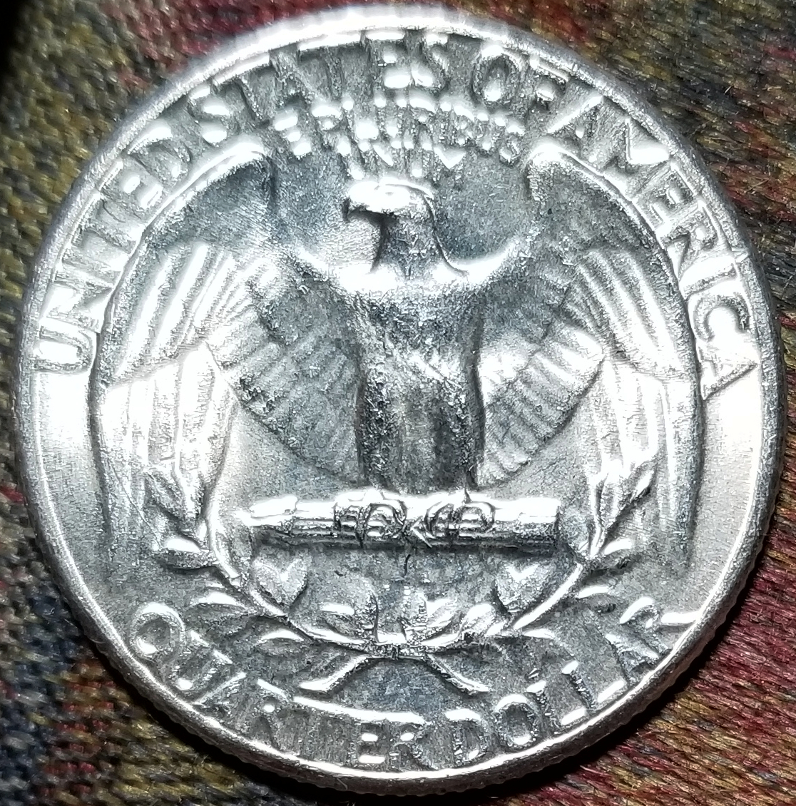 20230303_201018.jpg