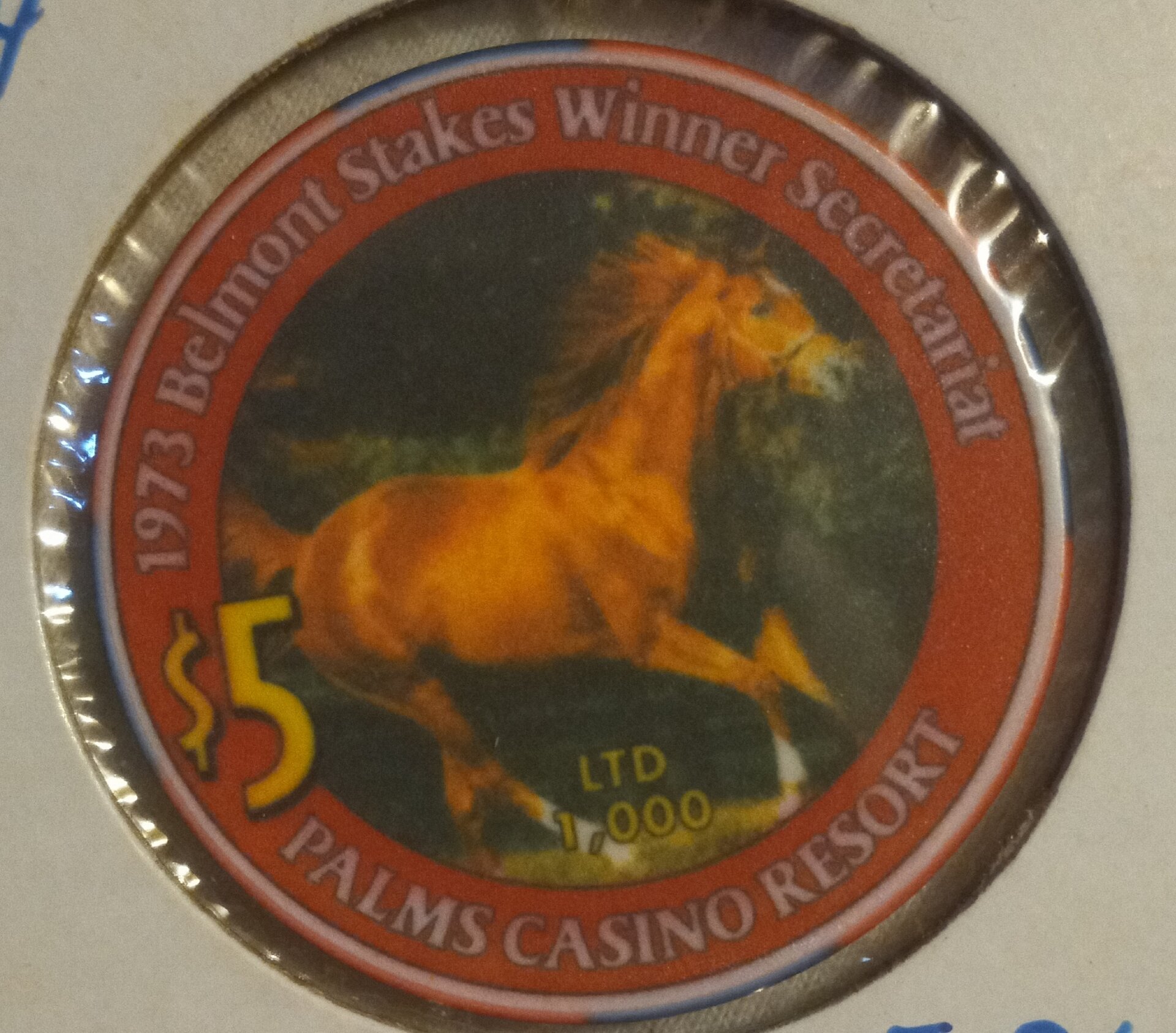20230311_142813.jpg