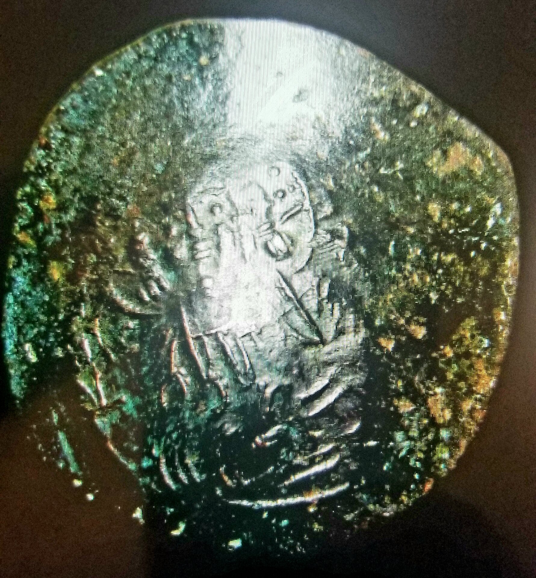 20230311_225534.jpg