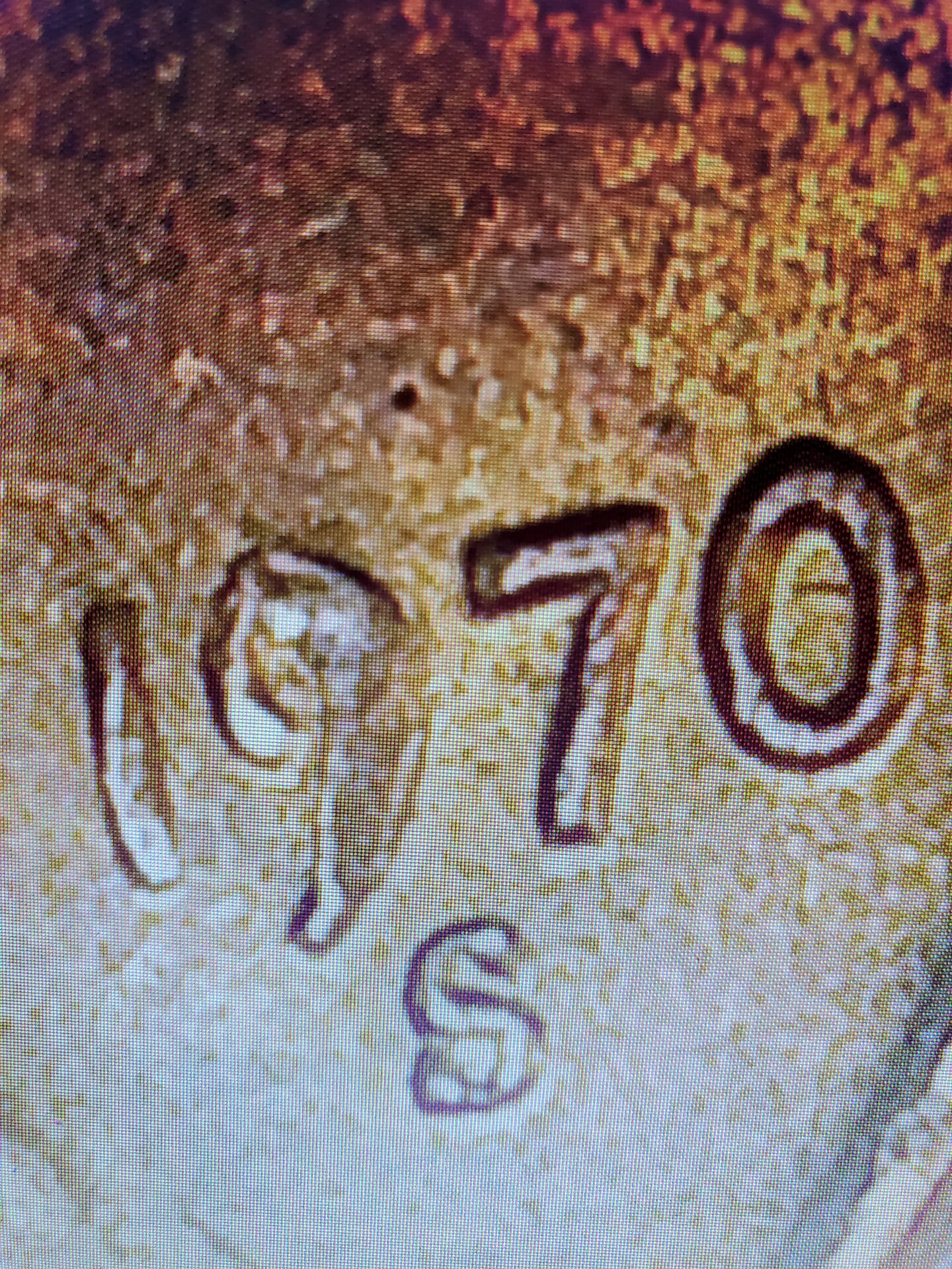 20230319_005550.jpg