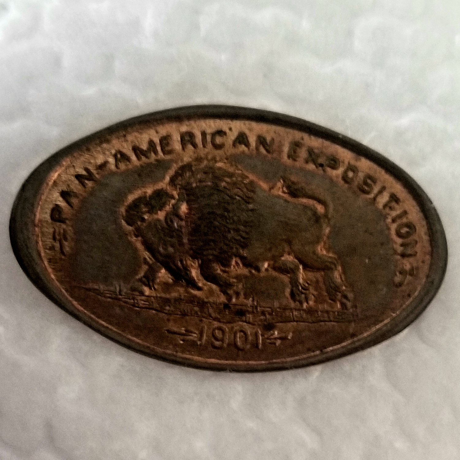 20230319_163335.jpg