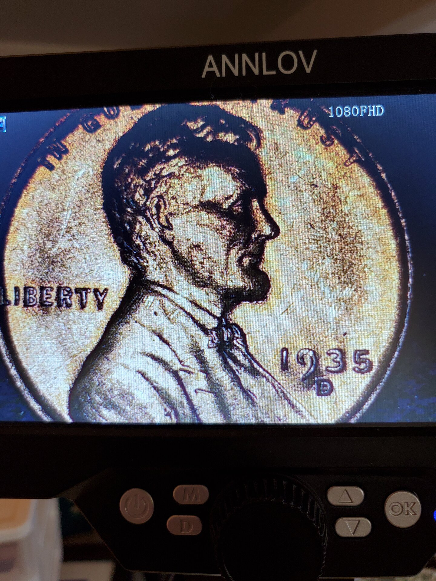20230324_165342.jpg