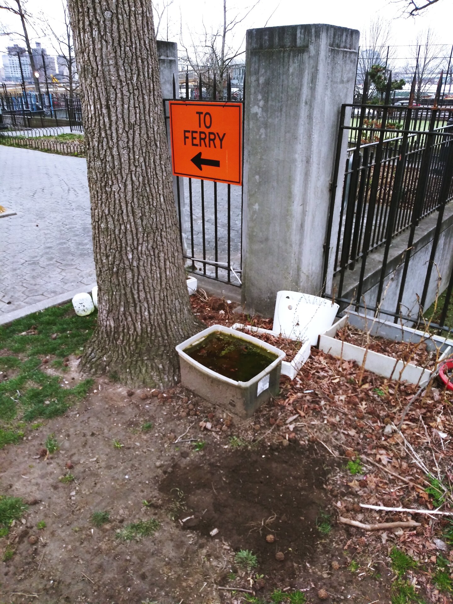 20230325_074637.jpg