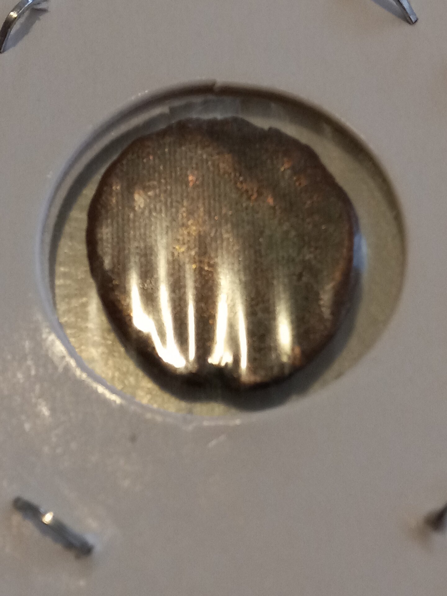 20230328_185635.jpg