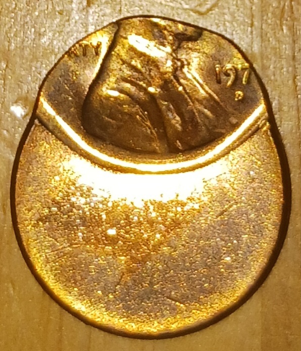 20230331_162927.jpg