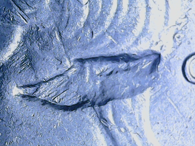 20230405_12_36_14.png
