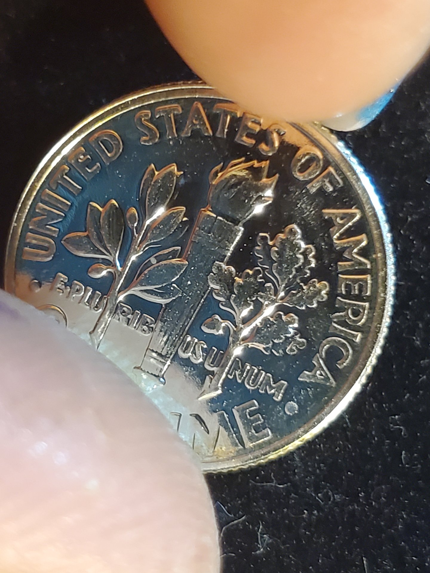 20230410_052459.jpg