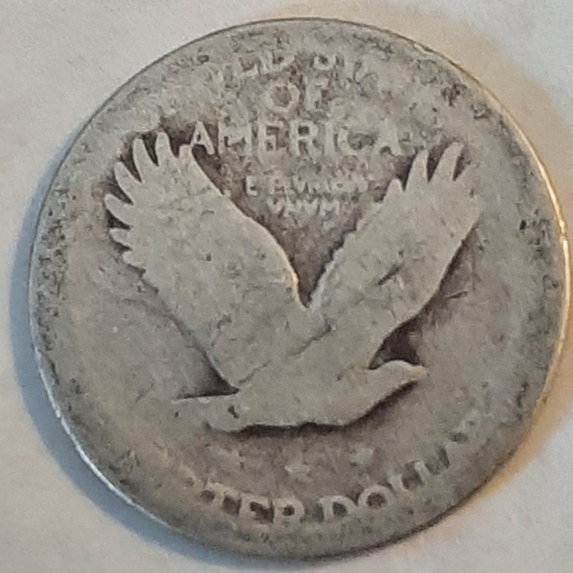 20230411_165136.jpg