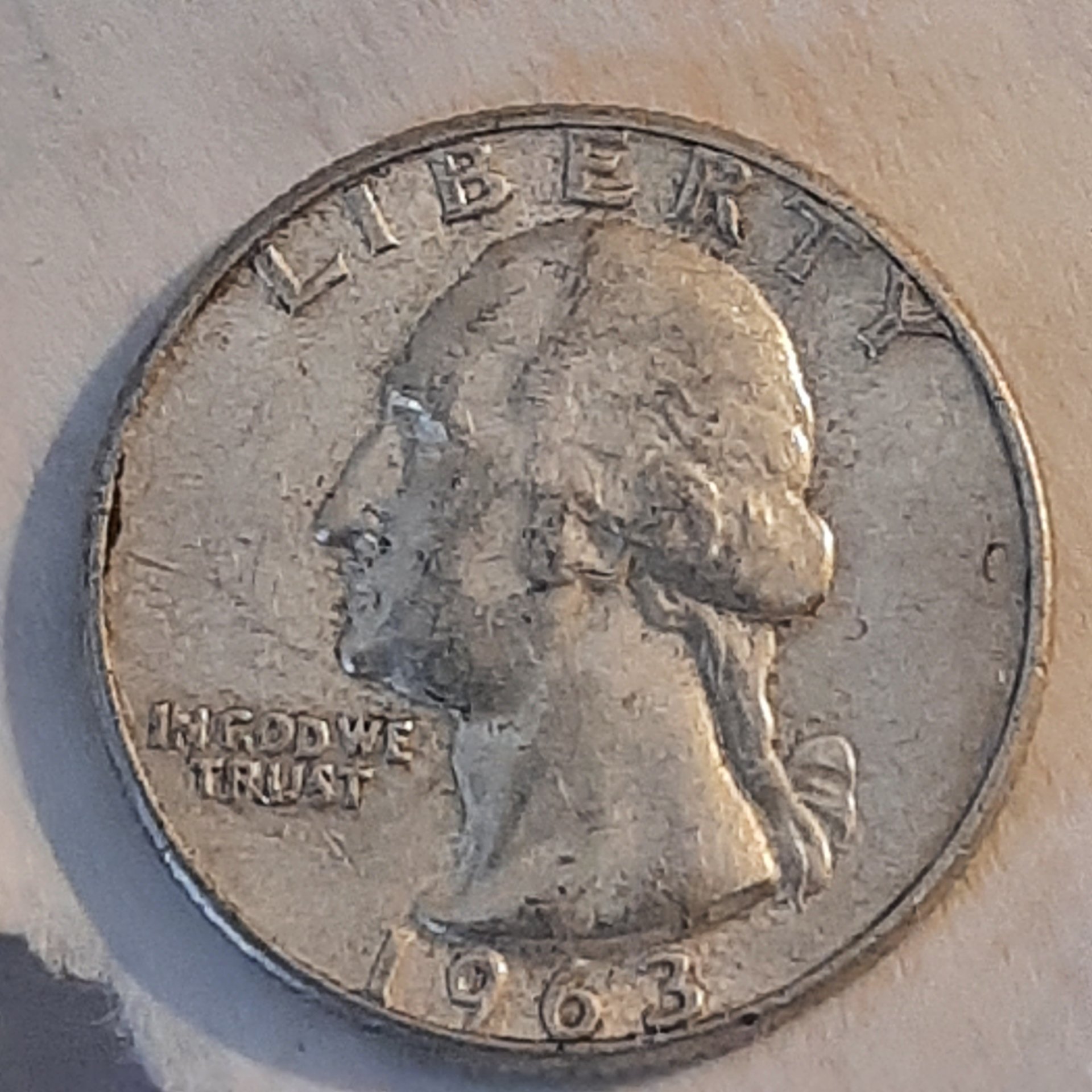 20230411_184932.jpg