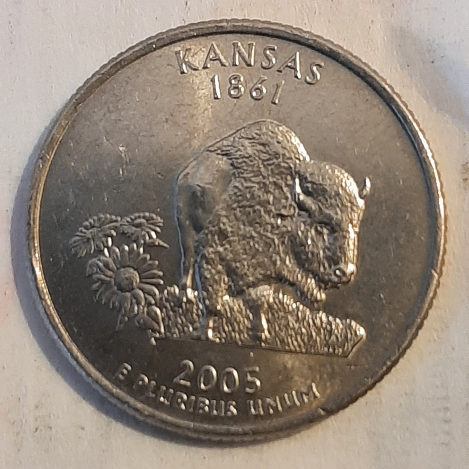 20230411_190414.jpg