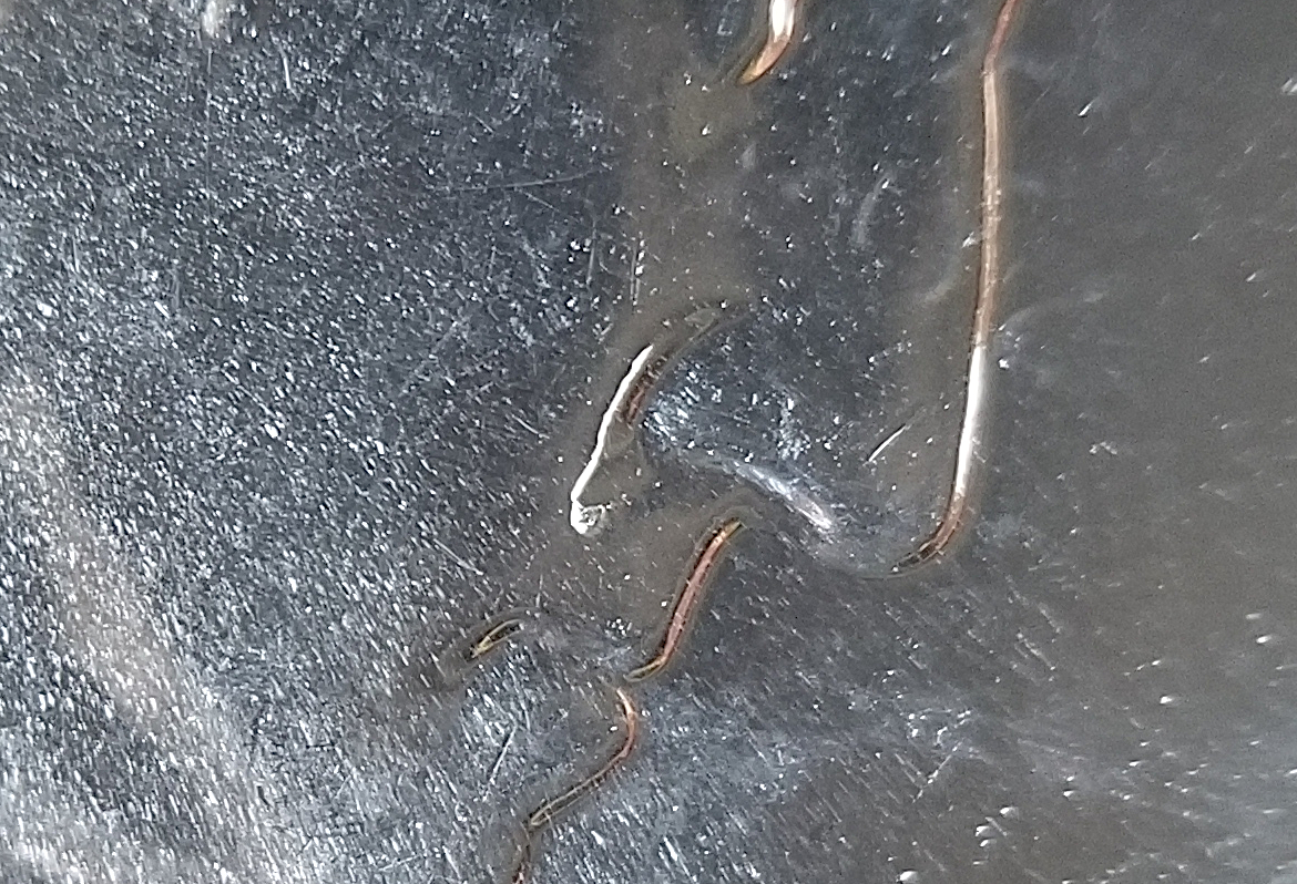 20230416_170308.jpg