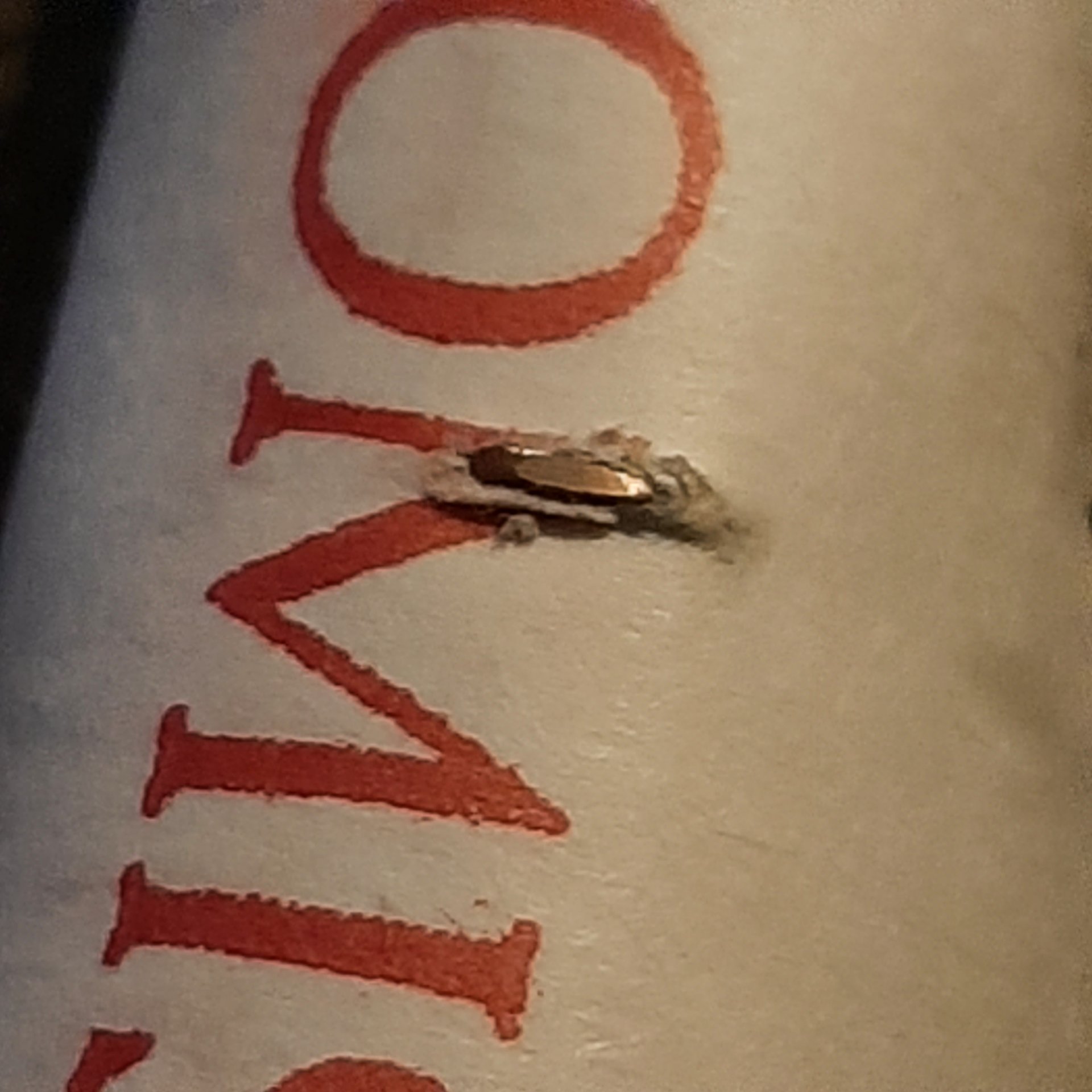 20230416_170626.jpg