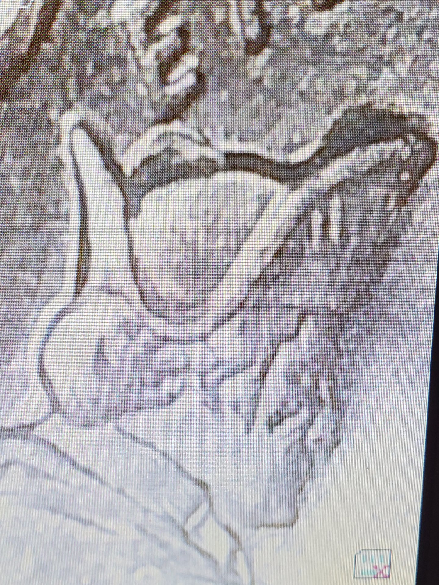 20230420_085931.jpg