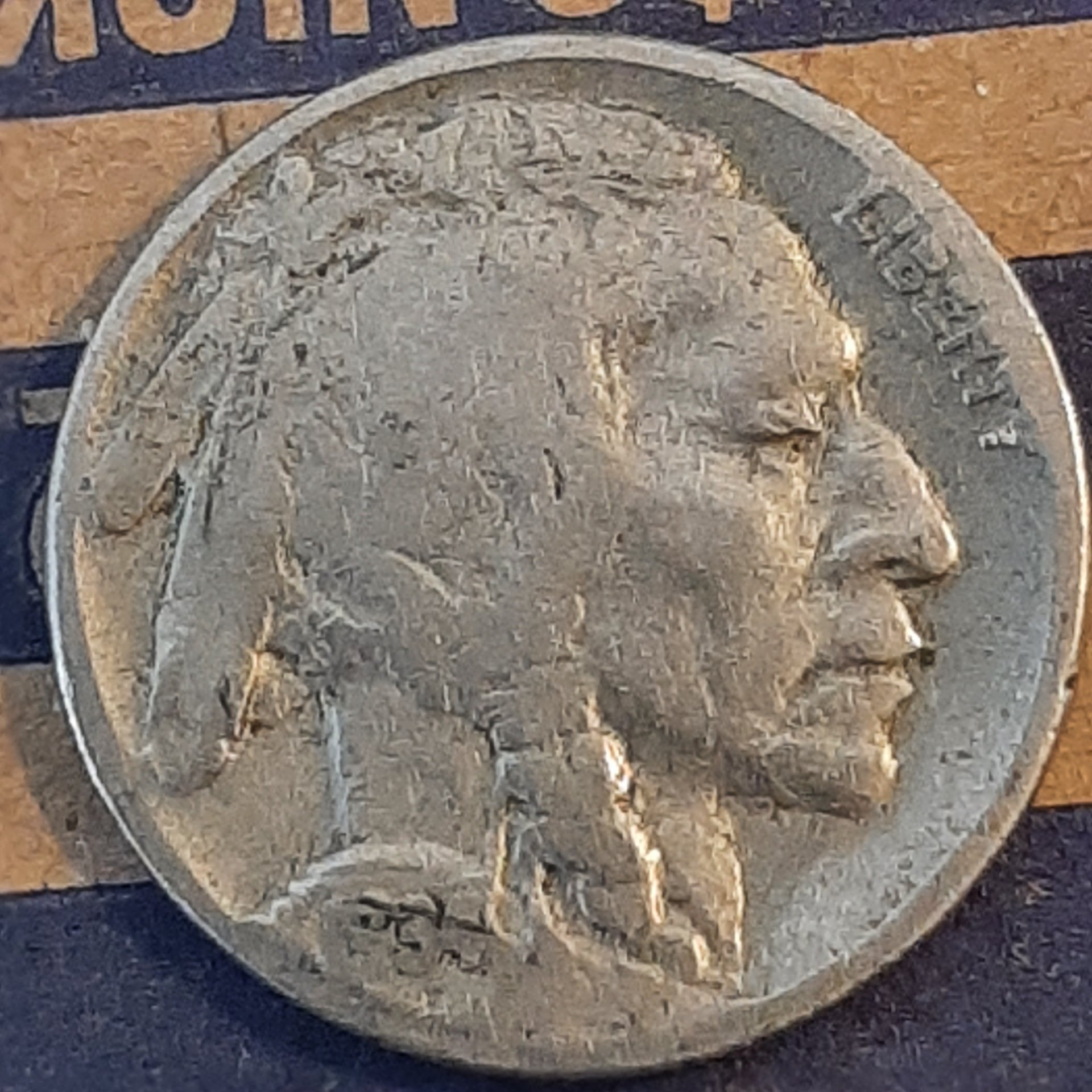 20230420_133411.jpg