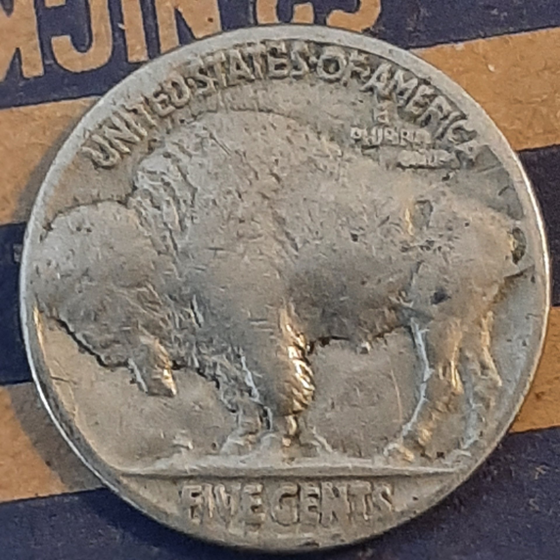 20230420_133424.jpg