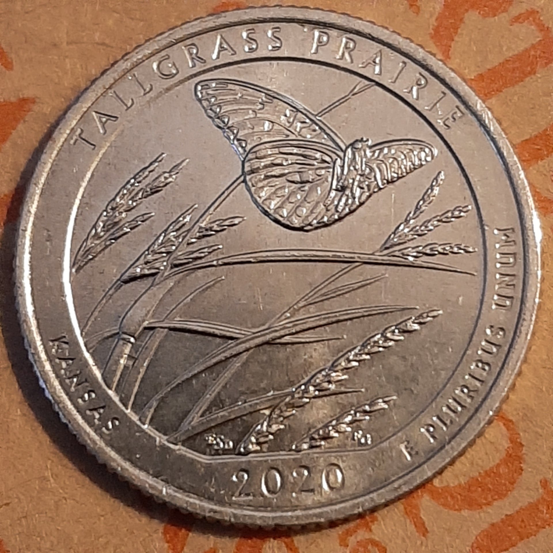 20230420_185249.jpg
