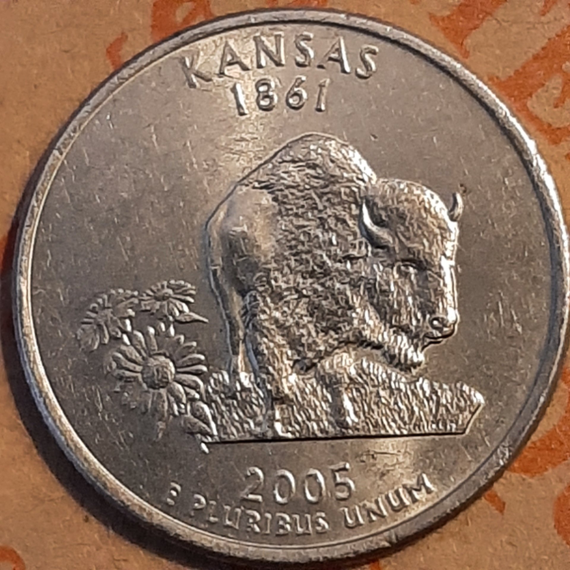 20230420_191801.jpg