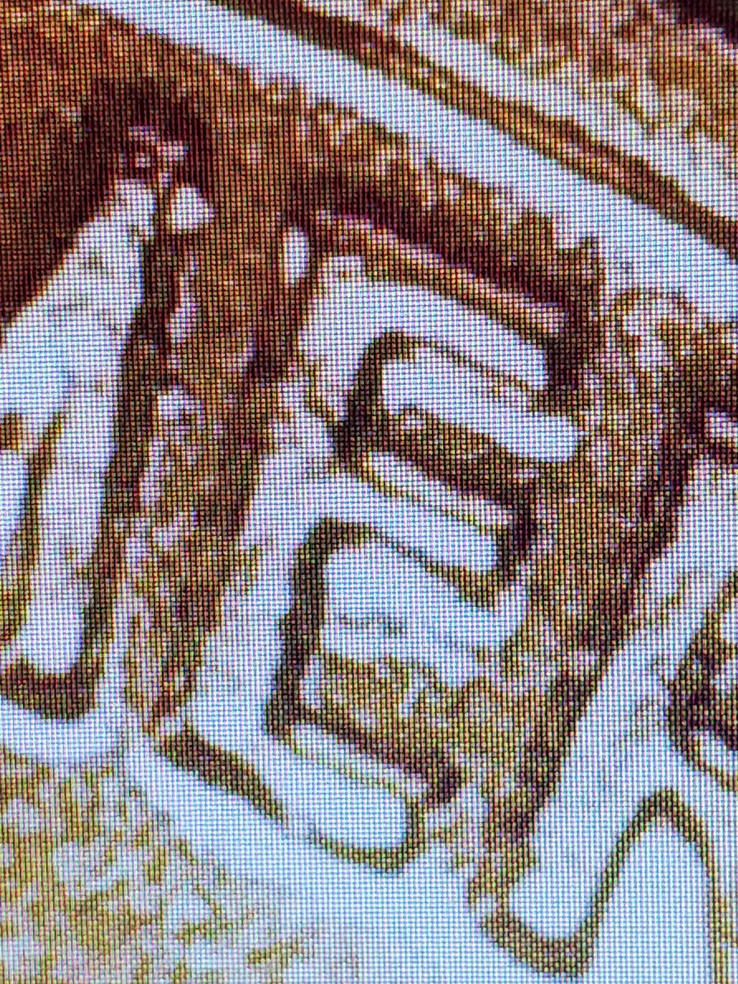 20230424_101633.jpg