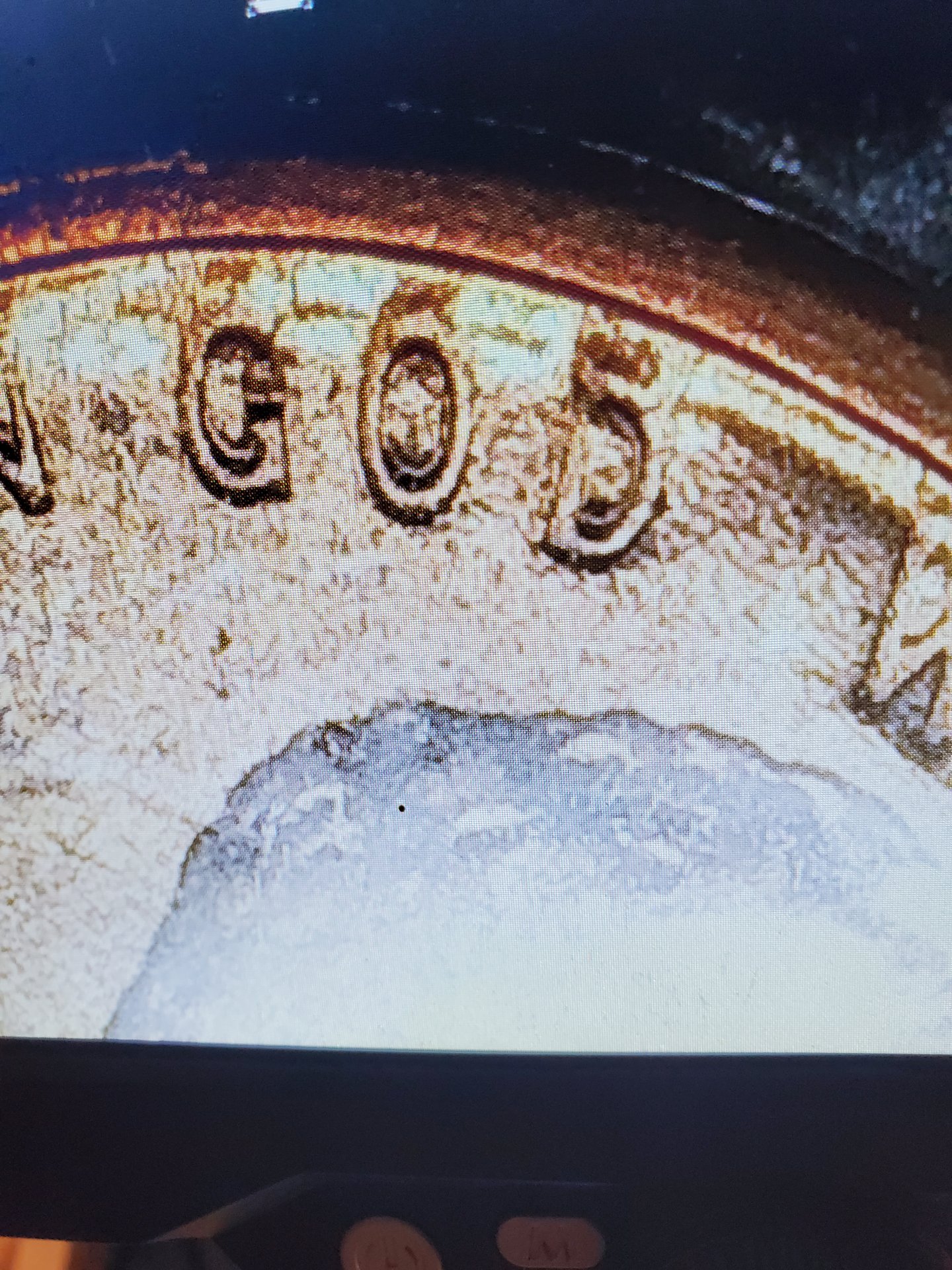 20230425_220119.jpg