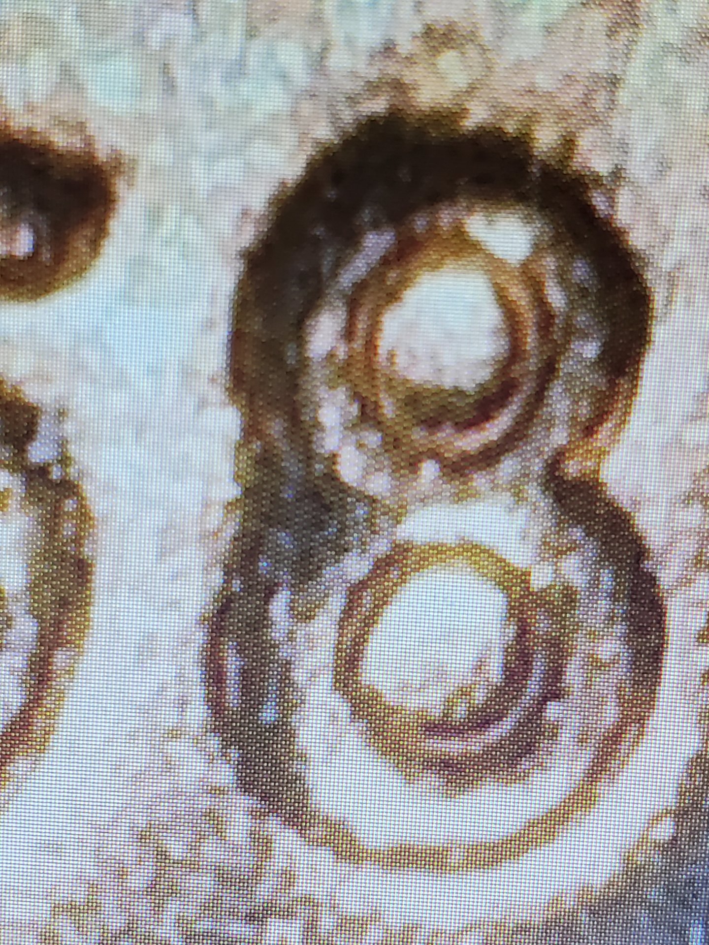 20230425_232753.jpg