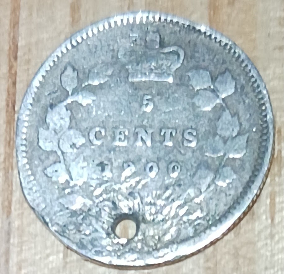 20230427_142241.jpg