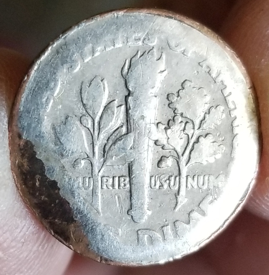 20230429_161634.jpg