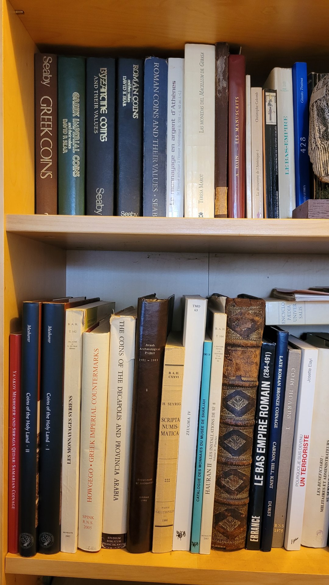 20230607_103101.jpg