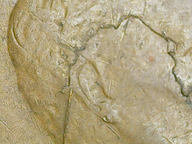 20230612_16_45_06.png